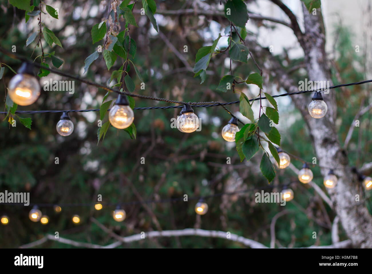 Dekorative elektrische Schwalbenschwanz Beleuchtung Lampen hängen unter den  Ästen im freien Stockfotografie - Alamy