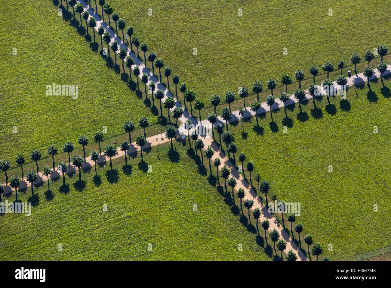 Die Stadt Xanten in Niederrhein, Deutschland, archäologischer Park, einer ehemaligen römischen Siedlung, Kreuzung, Baum-Allee, Stockfoto