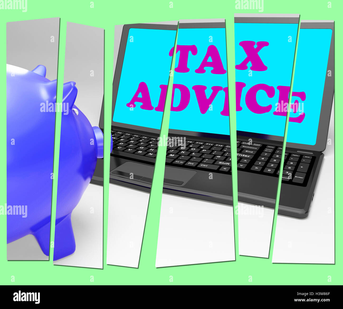 Steuerliche Beratung Sparschwein zeigt professionelle Beratung im Bereich der Besteuerung Stockfoto