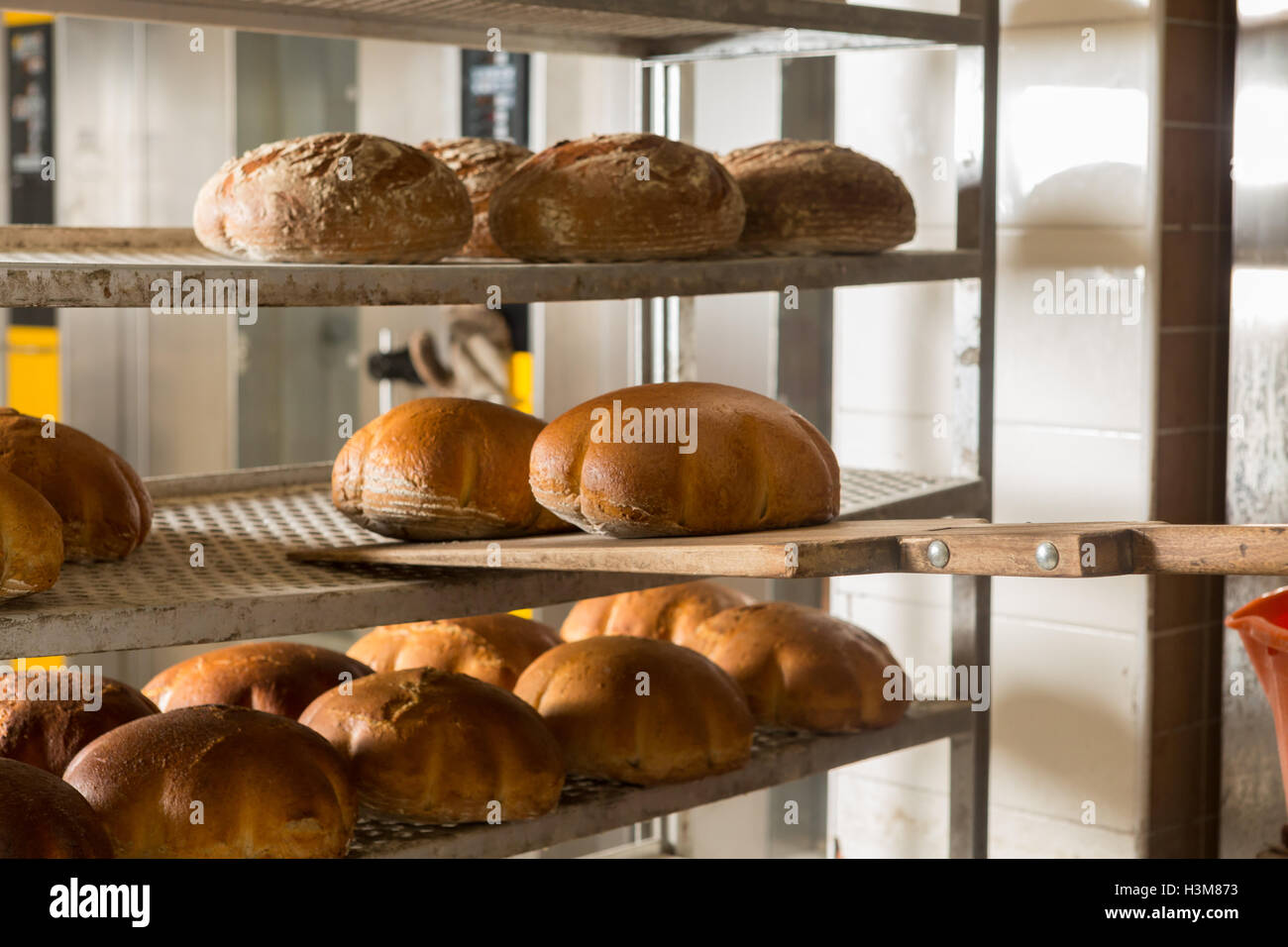 Frisch gebackene Brote aus dem Ofen gezogen. Das Konzept der Bäckerei und Konditorei Geschäfte. Stockfoto