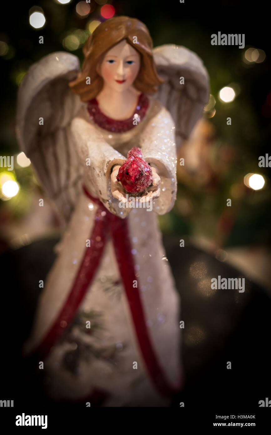 Eine schöne Weihnachtsengel bietet das Geschenk der rote Kardinal. Stockfoto