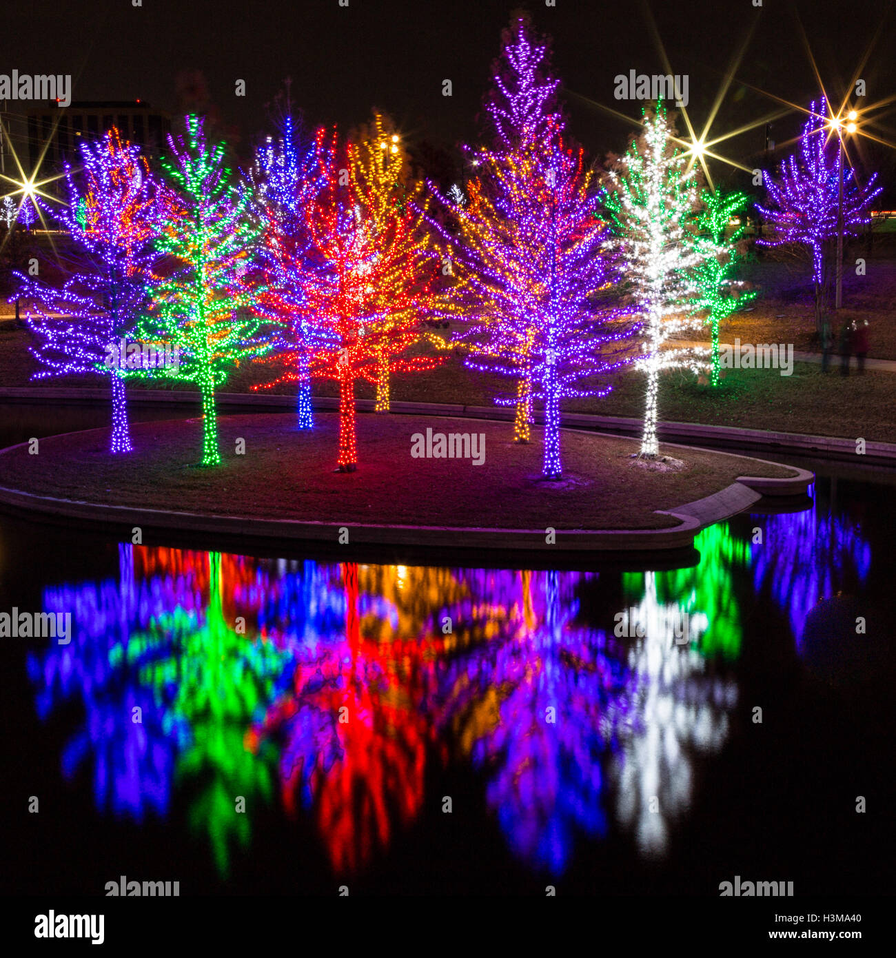 Eine quadratische Ausrichtung der Hunderte von Bäumen sind bedeckt mit bunten Weihnachtsbeleuchtung und auf der Oberfläche dieser Teich reflektiert. Stockfoto