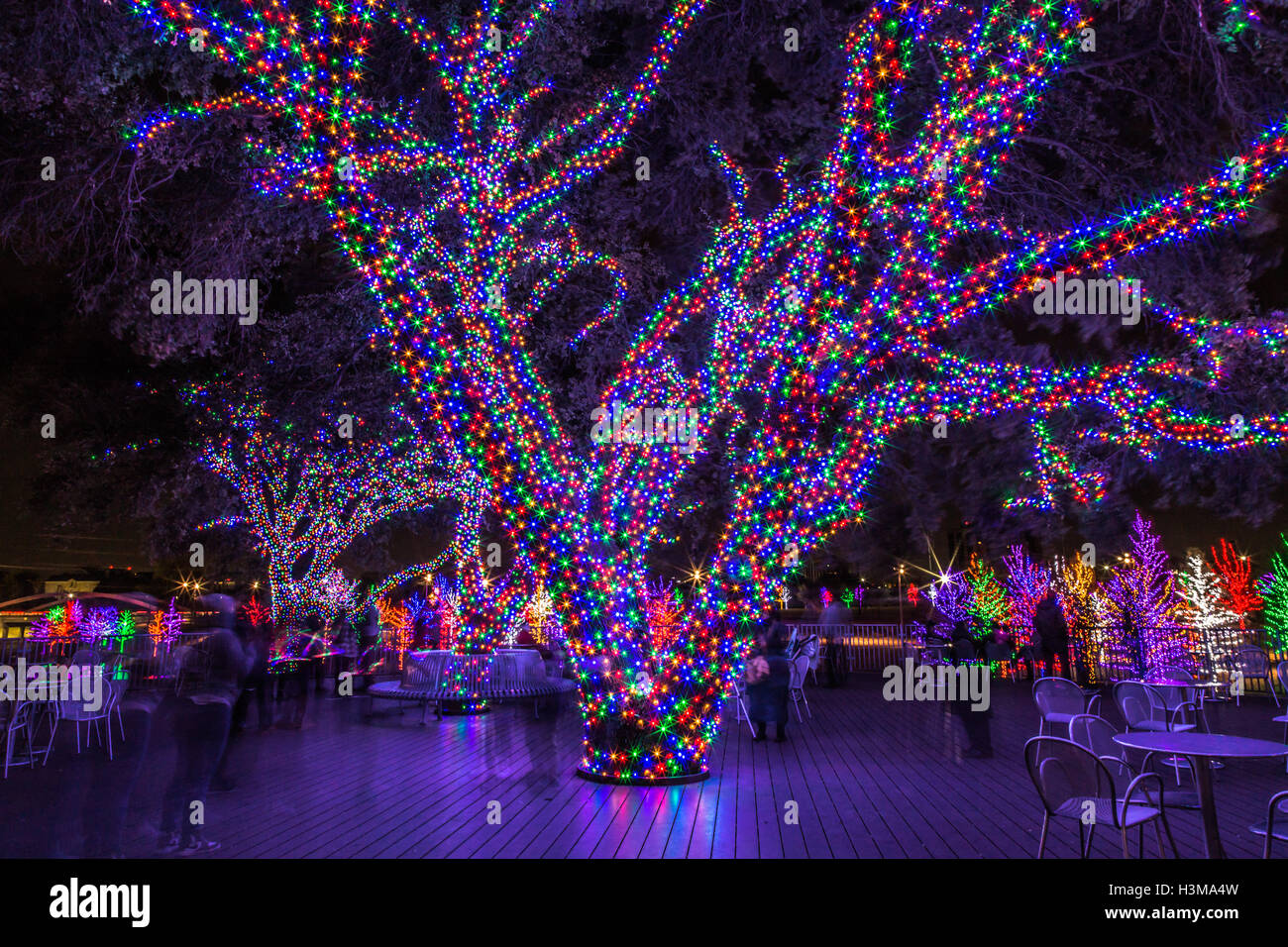 Ein riesiger Baum in der Mitte eines Raums wird mit Tausenden von bunten Weihnachtsbeleuchtung abgedeckt. Stockfoto