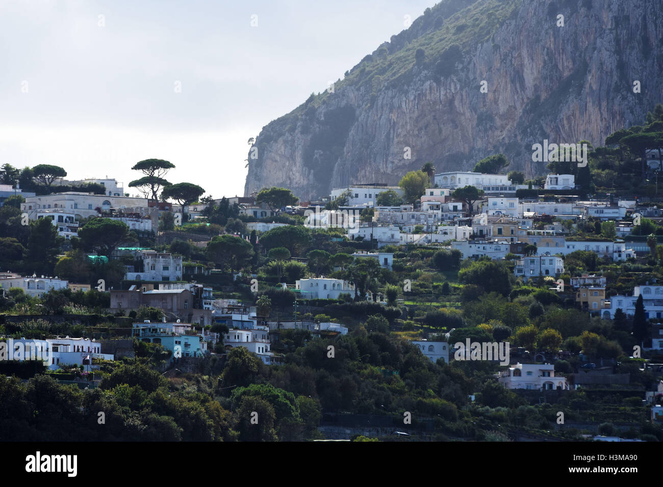 Die wunderschönen italienischen Insel Capri. Stockfoto