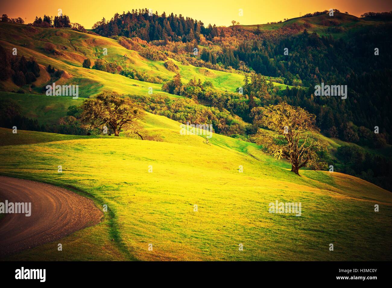 Nord-Kalifornien Landschaft. Sommer in Redwood Gegend in der Nähe von Eureka, Humboldt County Kalifornien, Vereinigte Staaten von Amerika. California Cou Stockfoto
