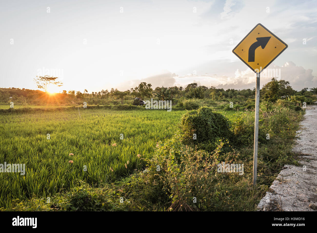 Gelber Pfeil-Zeichen und grüne Feld Landschaft bei Sonnenuntergang, Lombok, Indonesien Stockfoto