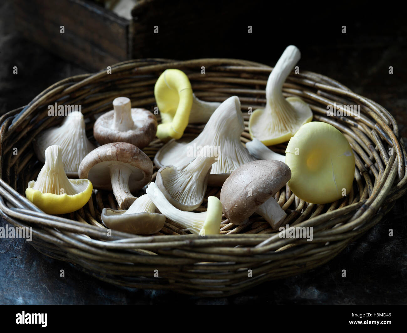 Frische Bio exotische Pilze Auswahl Stockfoto