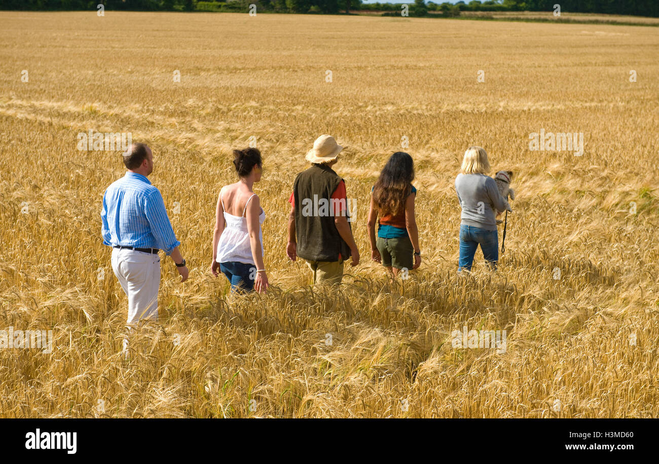 Gruppe von Erwachsenen, die zu Fuß durch Feld, Rückansicht Stockfoto
