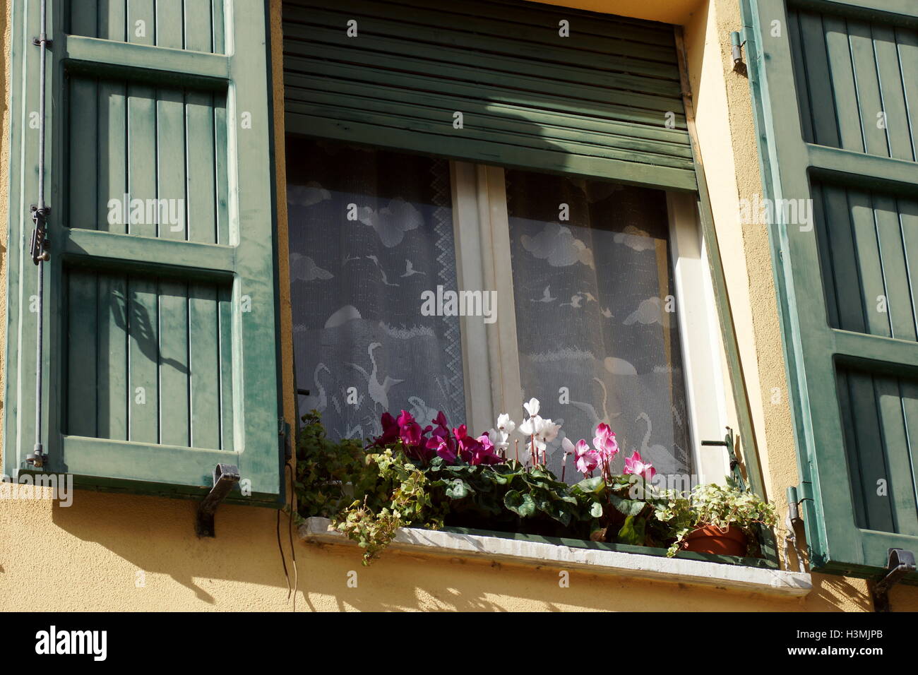 Europa-traditionelle Fenster mit Fensterläden aus Holz. Fenster mit Blumen auf der Fensterbank. Emilia Romagna, Italien. Stockfoto