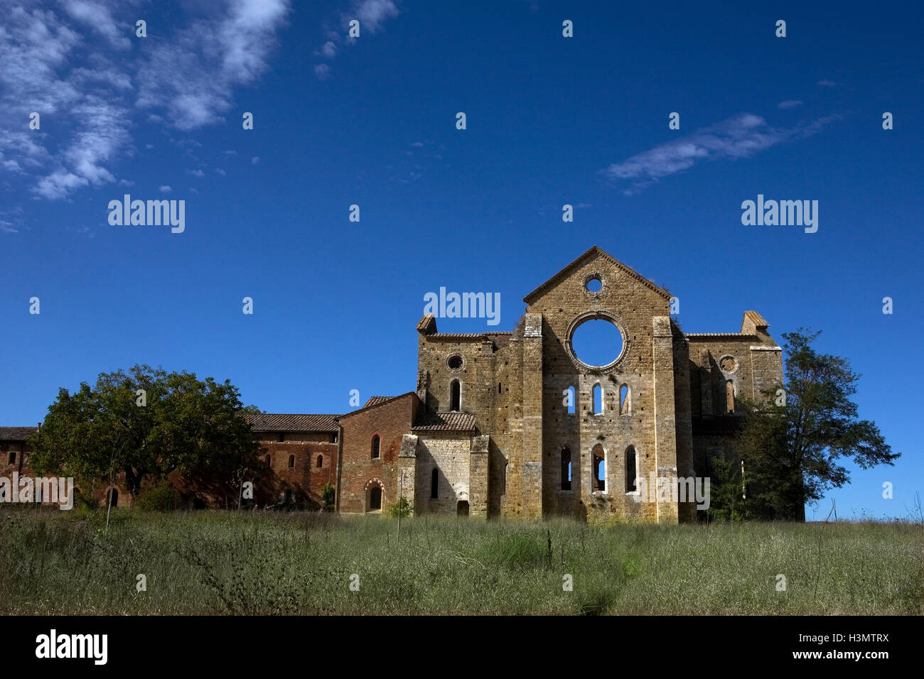 Die beeindruckenden und stimmungsvollen Ruinen der Zisterzienser Abtei von San Galgano, Val di Merse, Toskana, Italien Stockfoto