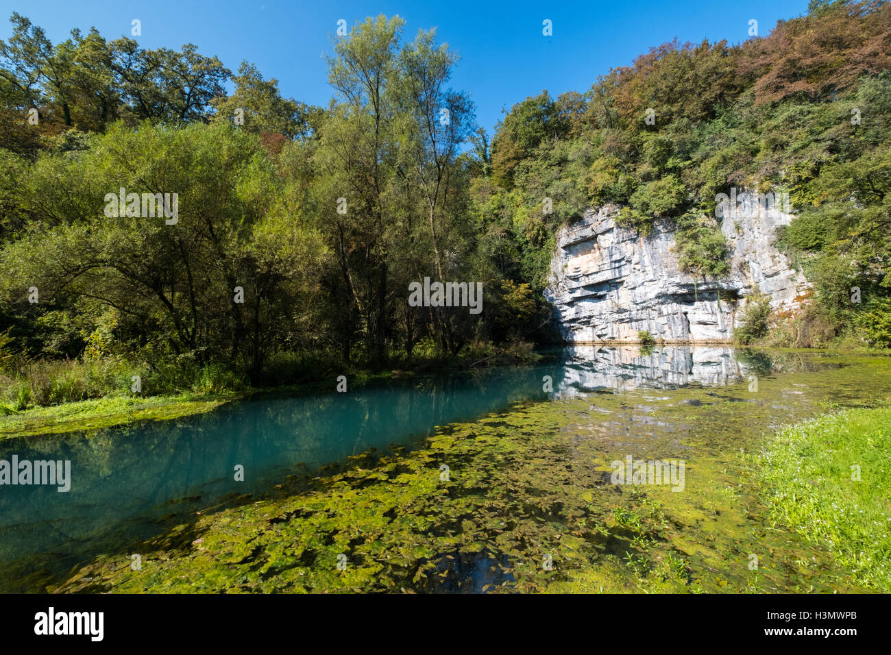 Die Quelle des Flusses Krupa, Bela Krajina, Slowenien Stockfoto