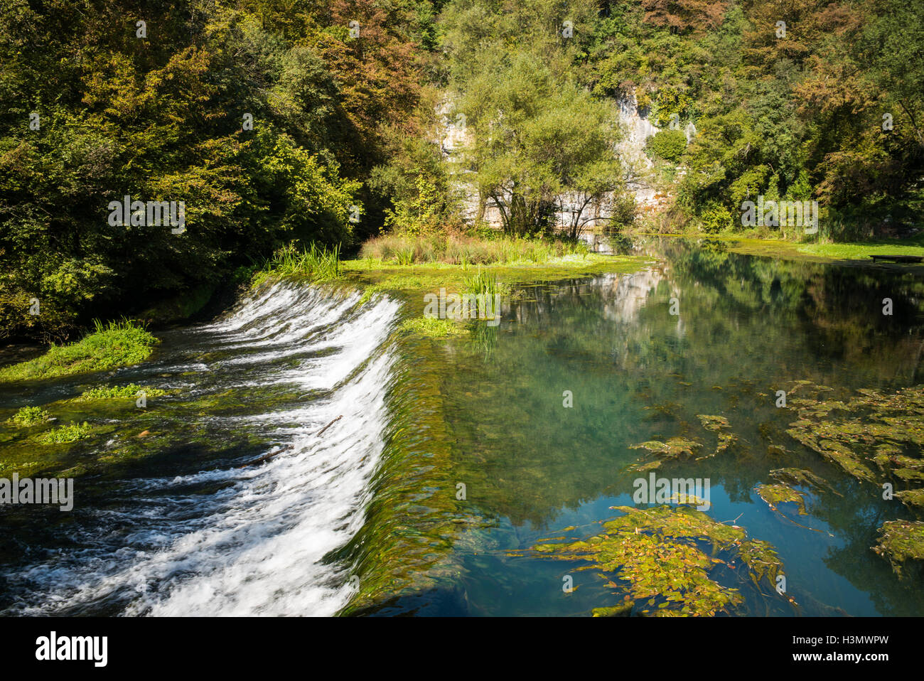 Die Quelle des Flusses Krupa, Bela Krajina, Slowenien Stockfoto
