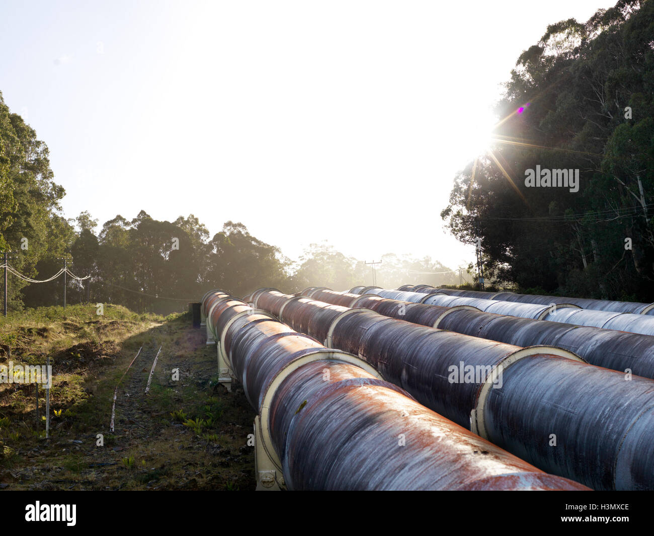 Landschaft mit vier Wasserkraftwerke Industrierohre, Tasmanien Stockfoto