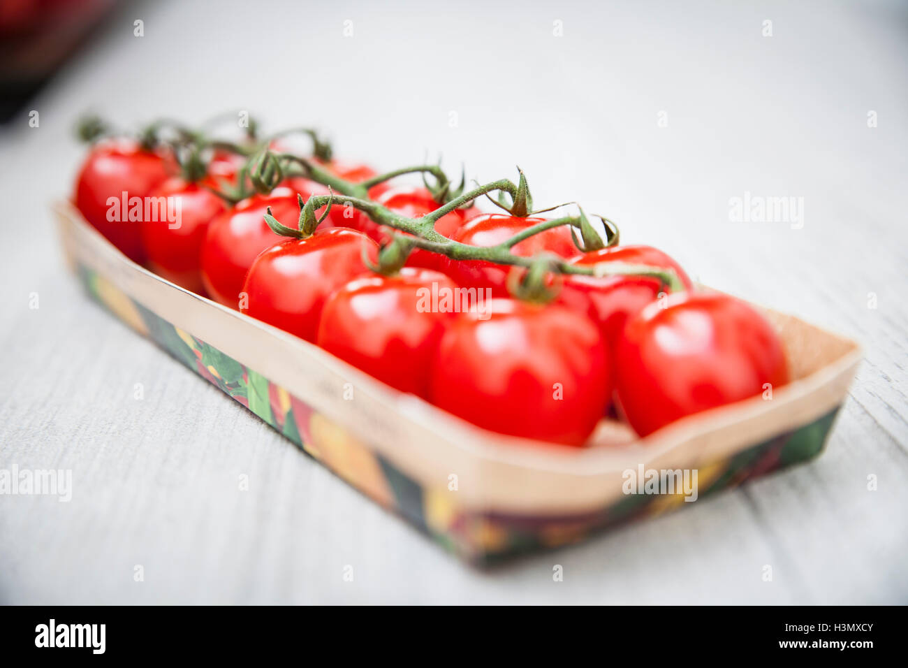 Reihen von Strauchtomaten in box Stockfoto