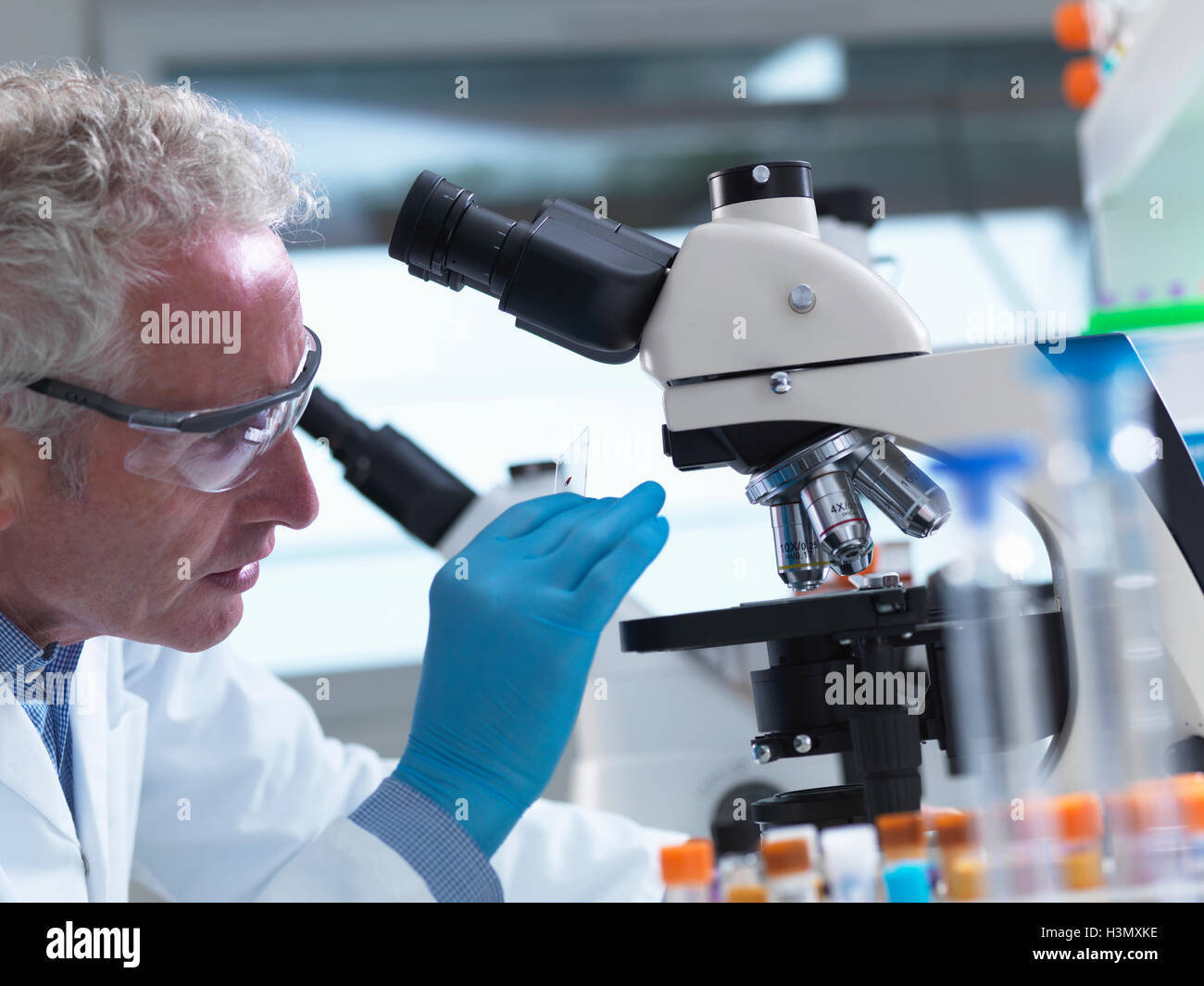 Wissenschaftler, die Probenvorbereitung schieben mit einer menschlichen Probe unter dem Mikroskop im Labor für medizinische Tests anzeigen Stockfoto