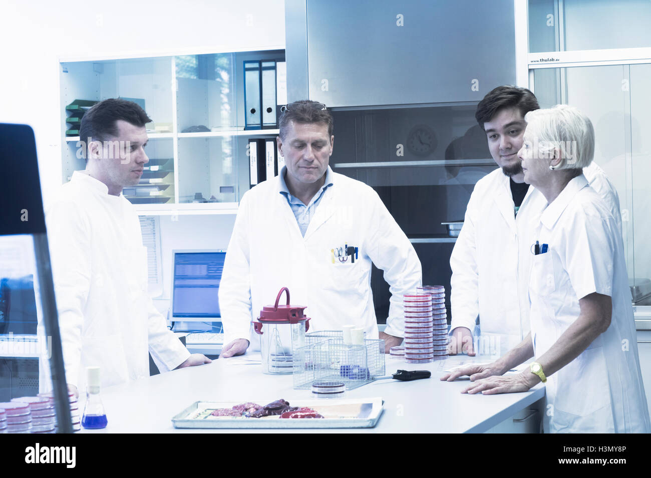 Wissenschaftler diskutieren im Labor Stockfoto
