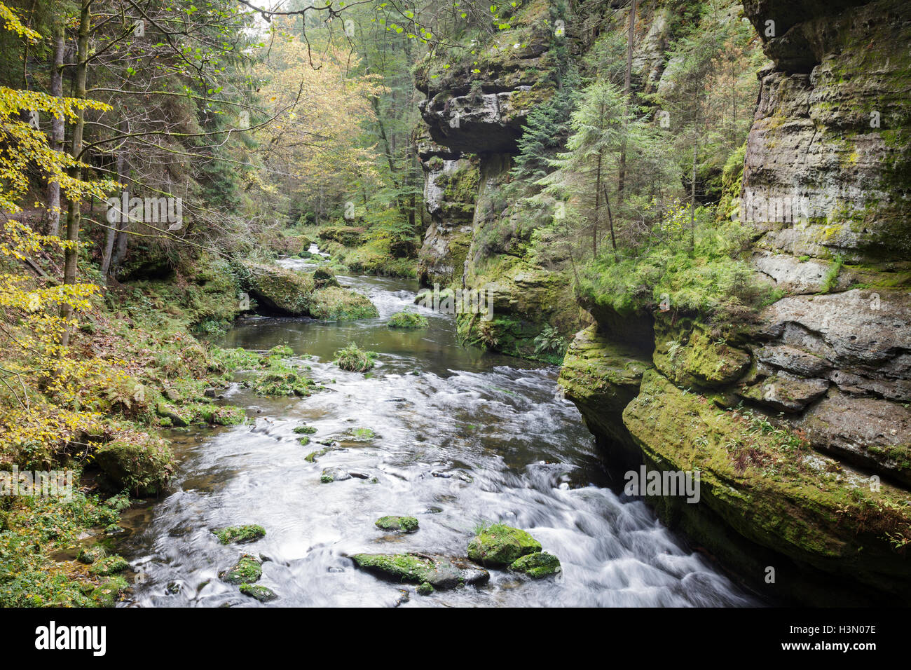 Wilde Schlucht am Fluss Kamenice von Mezní Mustek Brücke, Hrensko, Usti Nad Labem, Tschechische Republik Stockfoto