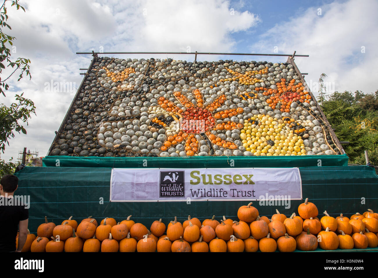 Die 2016 Anzeige von Kürbissen gemacht durch Slindon Kürbisse Sussex Wildlife Trust zu unterstützen. Stockfoto