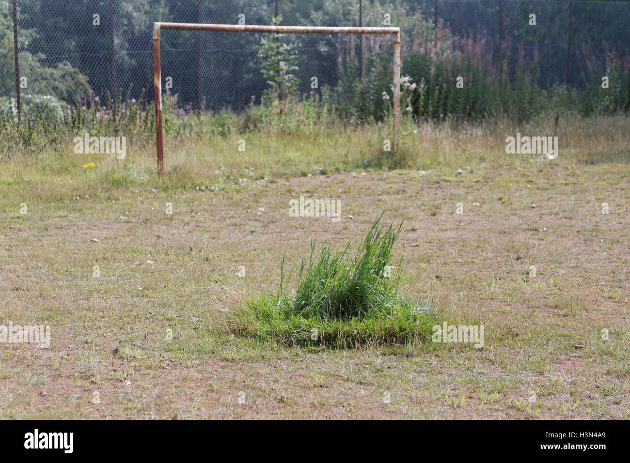 toter Fußball oder Fussballplatz heruntergekommen baufällig und überwucherten Tonhöhe symbolische Grass Field-Goal Beiträge Stockfoto