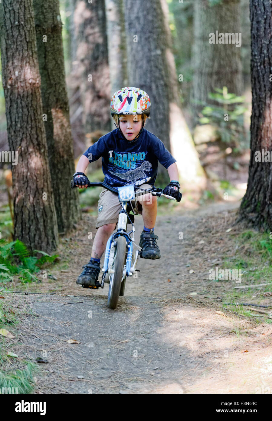 Ein Junge (4 Jahre) Junge mit seinem Fahrrad in den Wald auf einem Mountain bike Pumpe, Anschluss Stockfoto