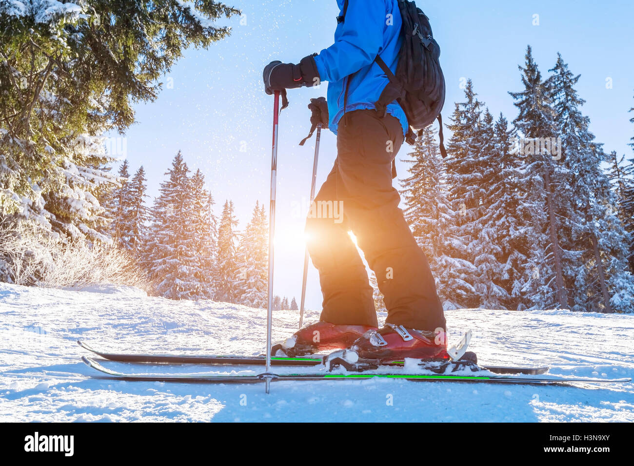 Nahaufnahme von Ski und Schuhe des Skifahrers auf einem Trail im Wald Stockfoto