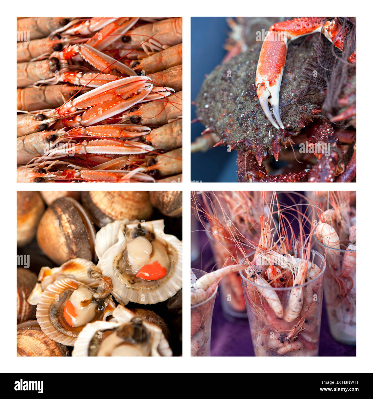 Collage aus verschiedenen Meeresfrüchte auf einem Marktstand Stockfoto