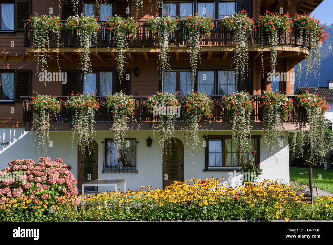 Wolfenschiessen, Schweiz - 24. September 2016: Blumenfeld eines Bauernhofes  in Wolfenschiessen auf die Schweizer Alpen Stockfotografie - Alamy