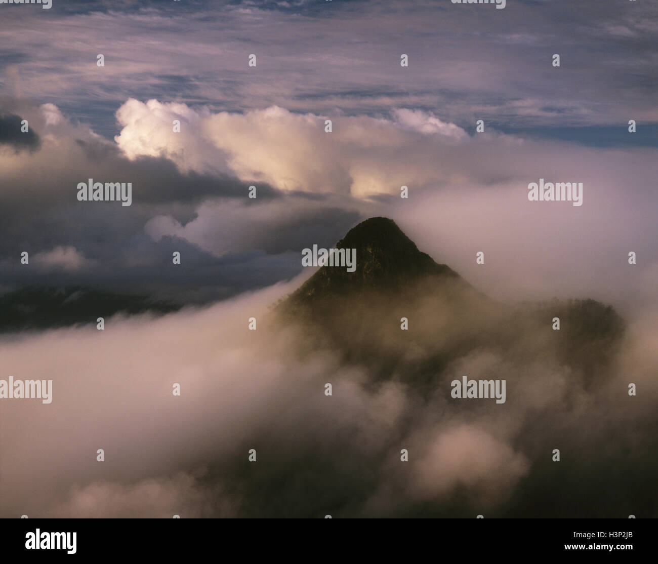Mount Warning, vulkanische Stecker Stockfoto