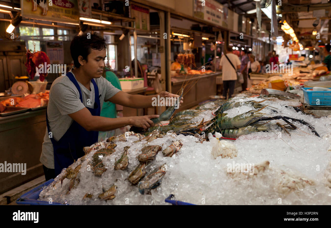 Eine Hausierer legt asiatischen Tiger Garnelen Garnelen auf dem Eis in einem Fisch-Stall oder Tor Kor Markt in Thailand. Stockfoto