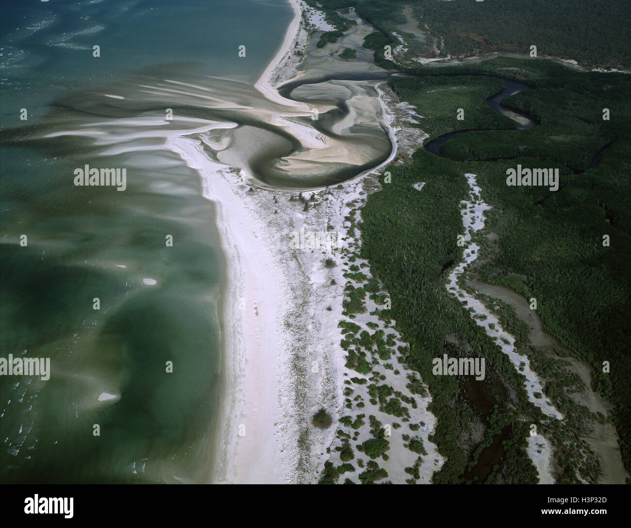 Boucaut Bucht mit Sandstrand und Mangroven, Stockfoto