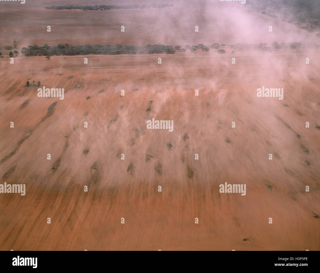 Mutterboden Sie Erosion, Boden vom Wind weggeblasen. Stockfoto