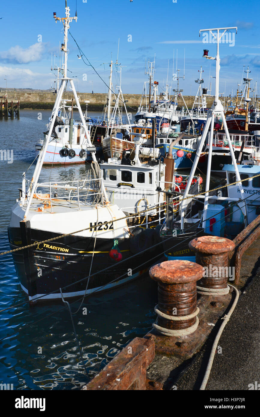 Das Fischerboot "Tradition" in der Ostküste Port von Bridlington an der englischen Ostküste. Stockfoto
