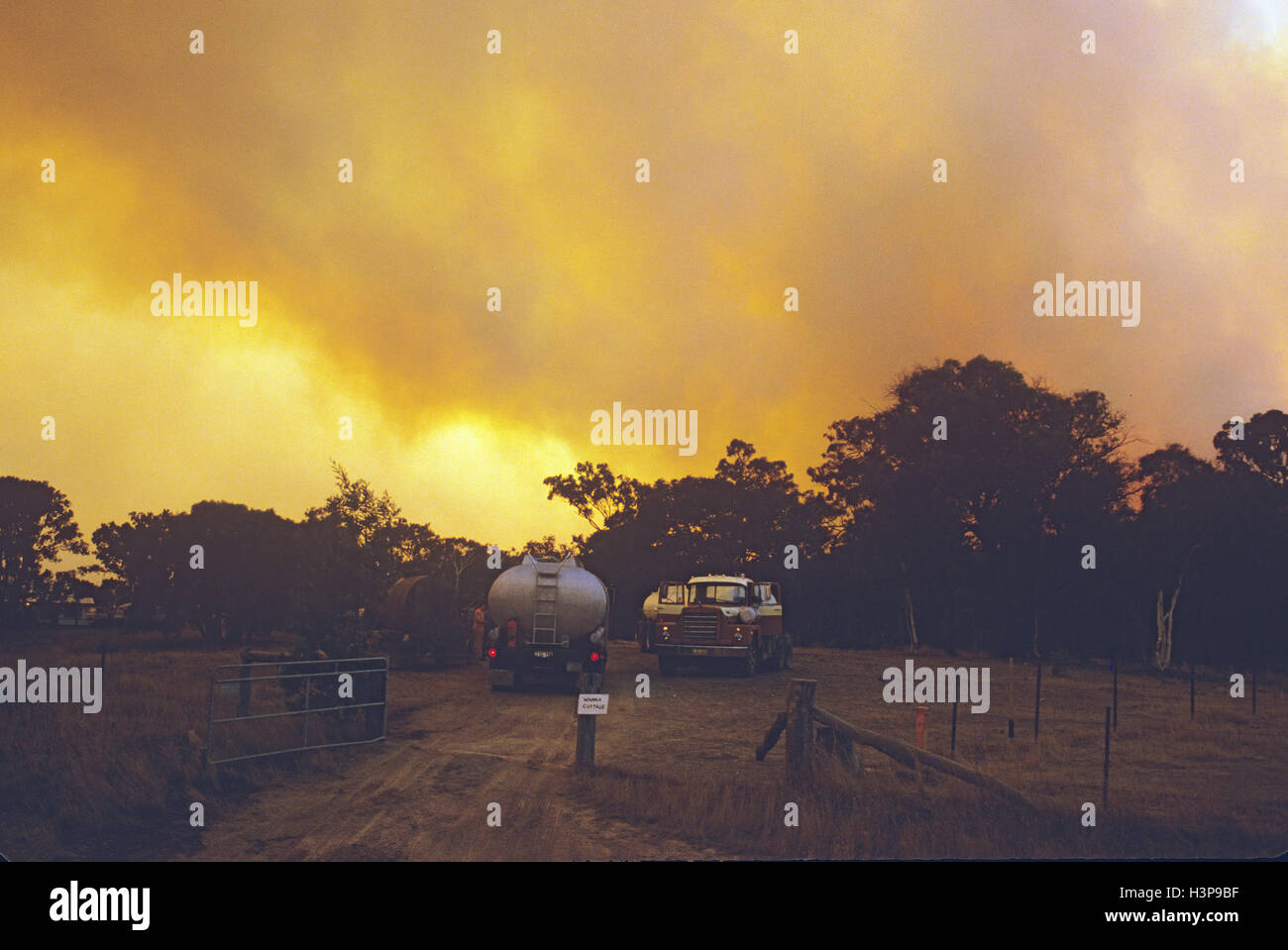 Bushfire kämpfen Stockfoto
