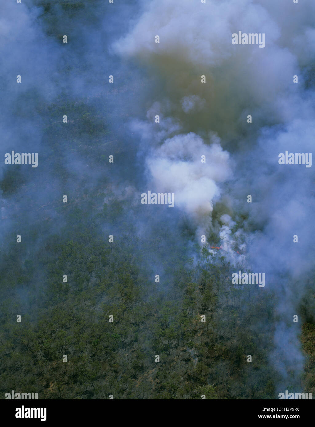 Bushfire, beleuchtet von Aborigines während der trockenen Jahreszeit, neues Wachstum zu fördern. Stockfoto