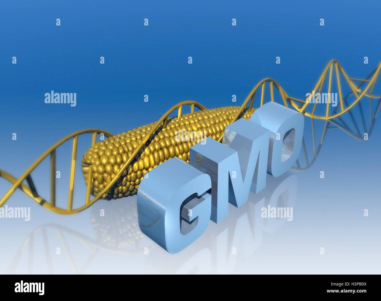 Genetisch veränderte Lebensmittel und Illustration. Stockfoto