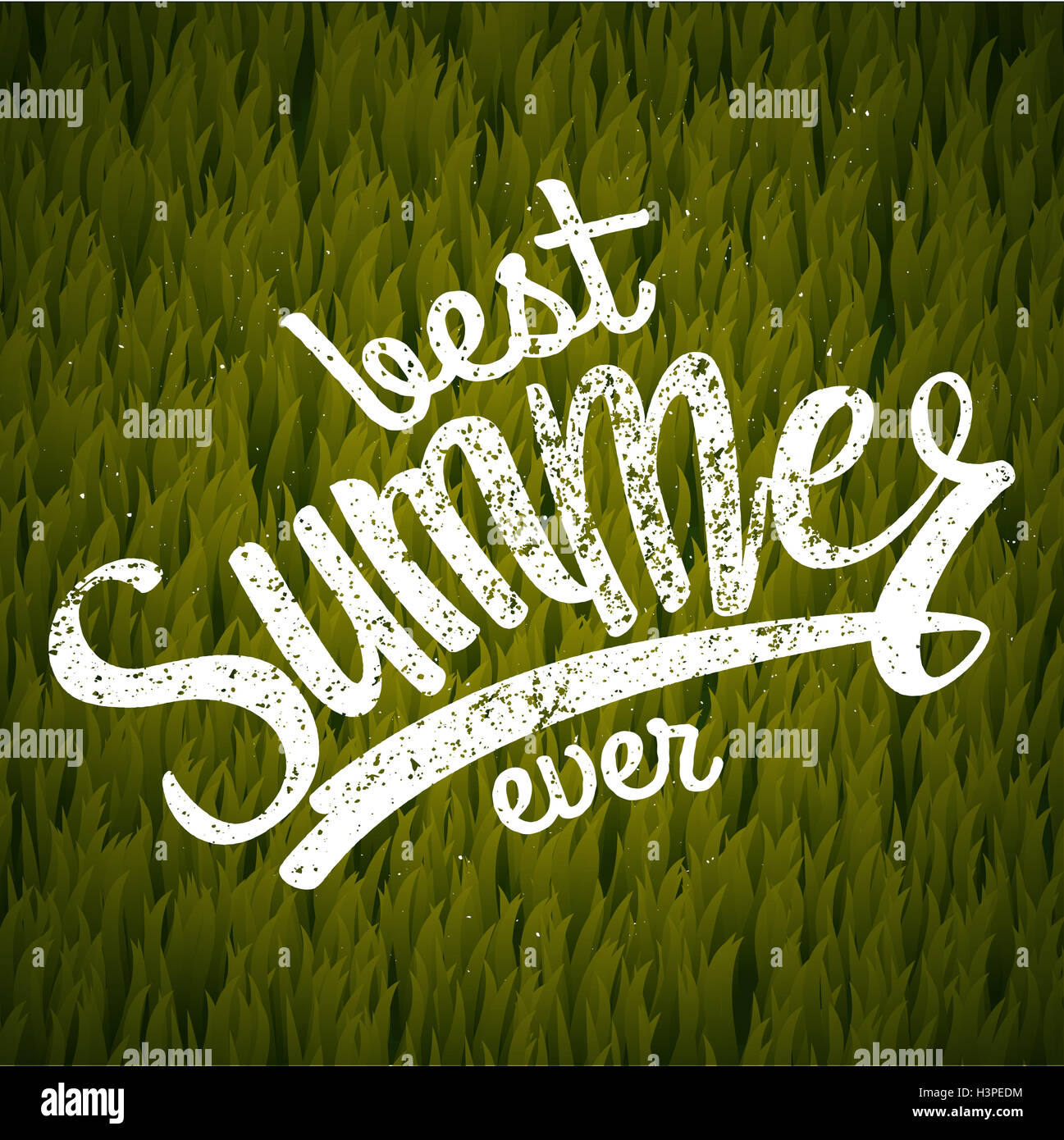 beste Sommer aller Zeiten. Grasgrün Hintergrund. Vektor-illustration Stockfoto