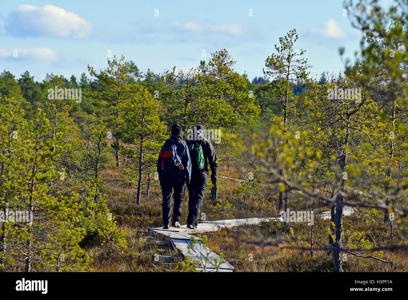 Paar trekking auf einem hölzernen Wanderweg. Stockfoto