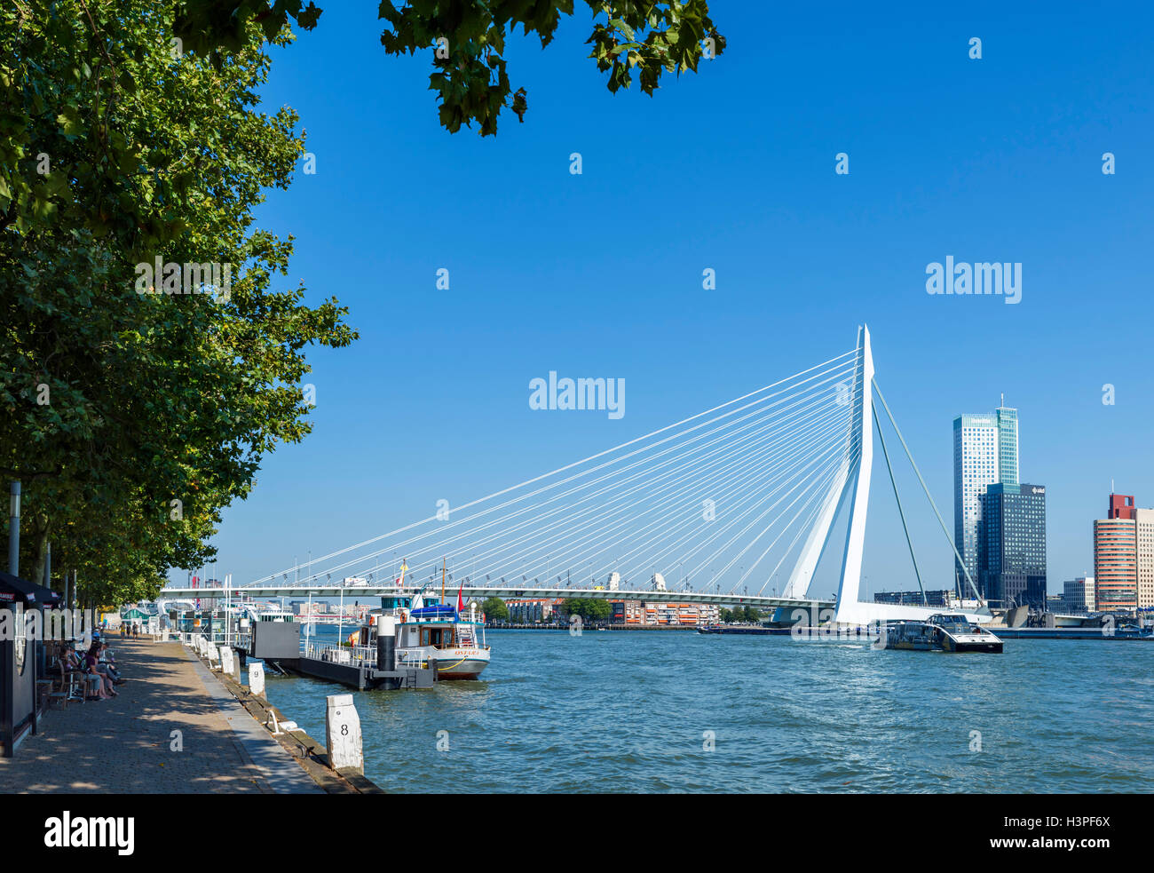 Der Erasmus-Brücke (Erasmusbrücke), Rotterdam, Niederlande Stockfoto