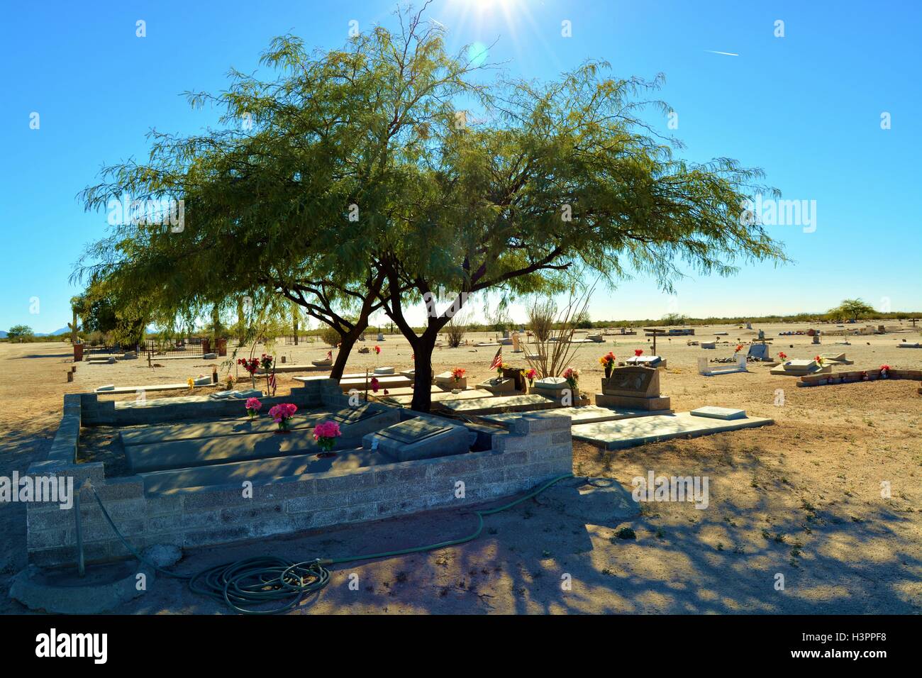 Alte, Friedhof, Friedhof, mit friedlichen Schatten Baum blockiert die Sonne befindet sich in Florenz, Arizona, America, USA Stockfoto