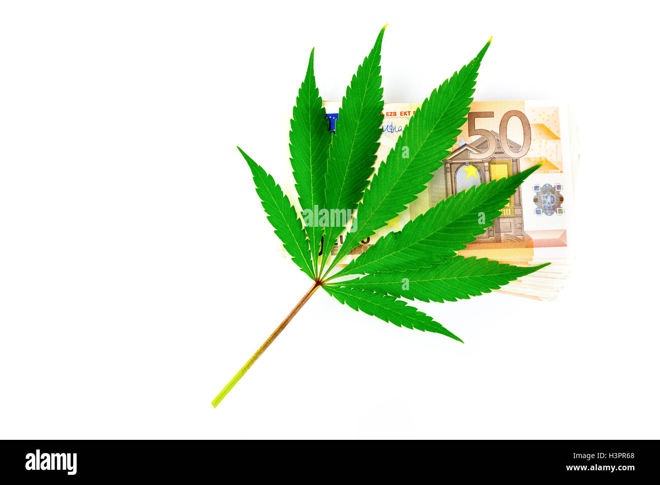 Grüne Cannabisblatt auf Euro Geld isoliert auf weißem Hintergrund Stockfoto