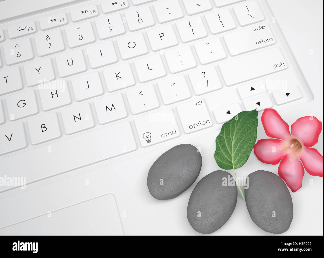 Blume, Blatt und Stein für massage auf der Tastatur Stockfoto
