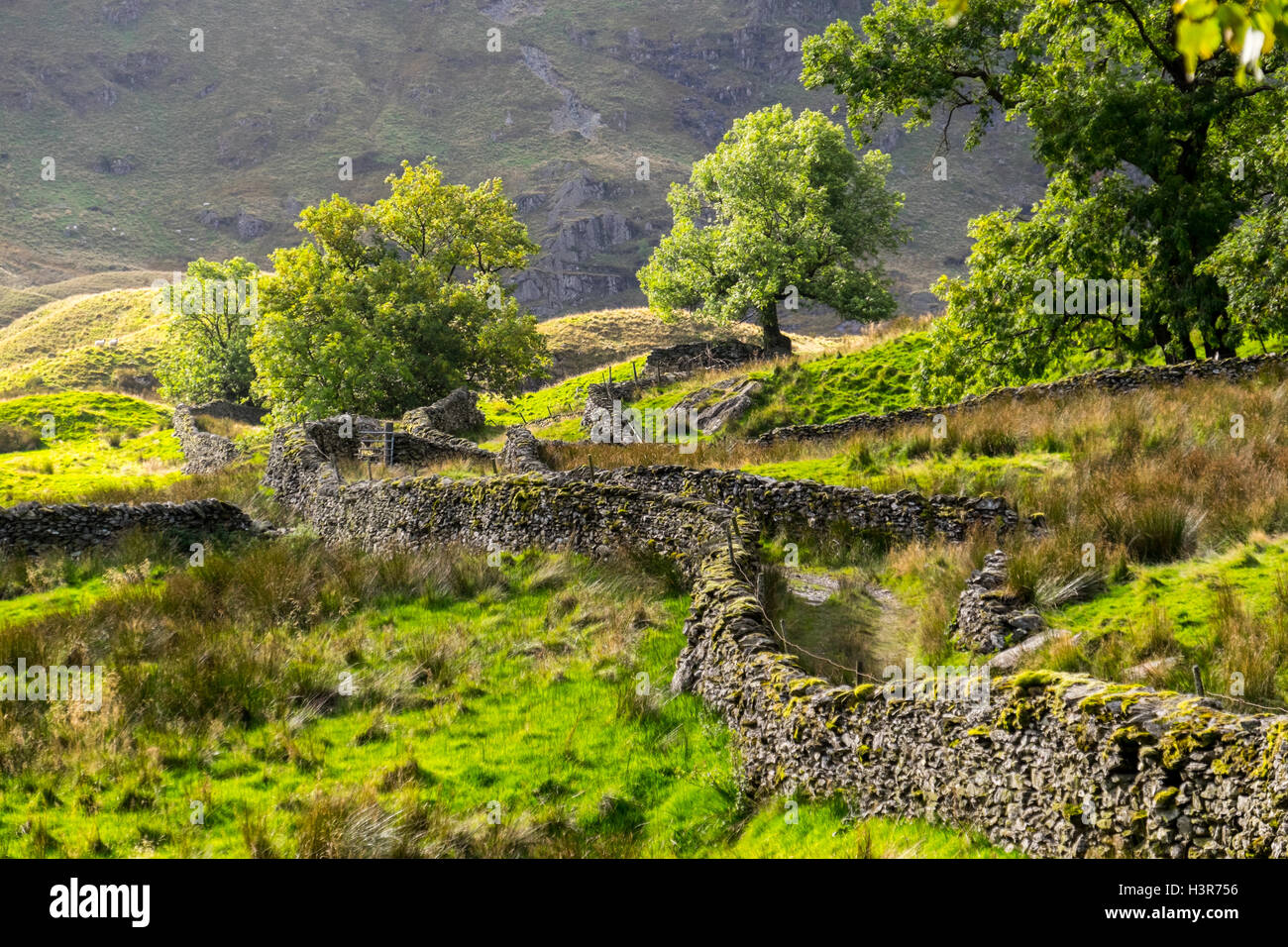 Ein Green Lane, Swindale, einem Tal am östlichen Rand des Lake District National Park in der Nähe von Shap Stockfoto