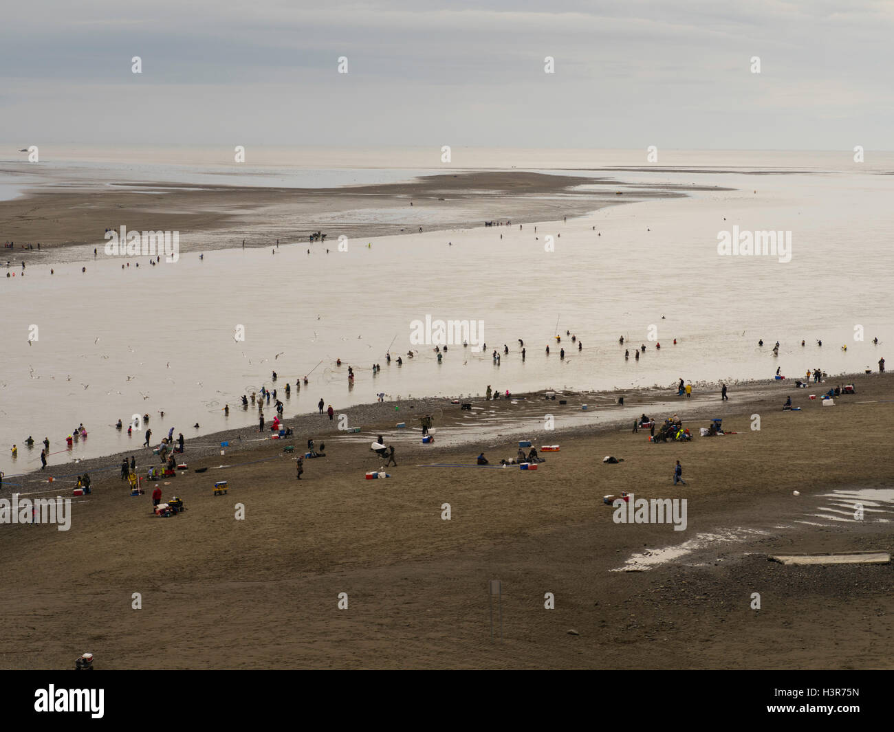 Fischer waten in die Mündung des Flusses Kenai net Lachs. Kenai, Alaska. Stockfoto