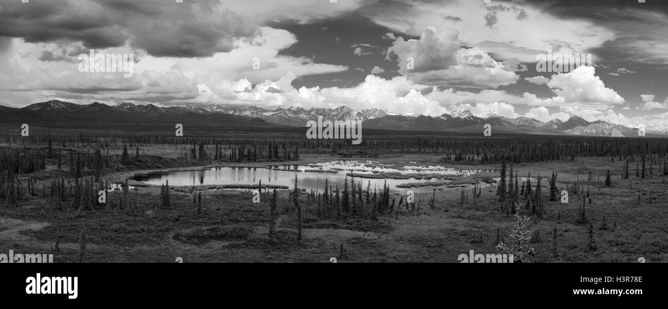 Panoramasicht auf die Alaska Range, Nenana Berg und Nenana Gletschertal und Monahan Wohnung im Vordergrund. Stockfoto