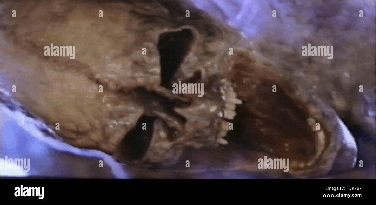 ALIEN AUFERSTEHUNG (1997) JEAN-PIERRE JEUNET (DIR) MOVIESTORE SAMMLUNG LTD Stockfoto