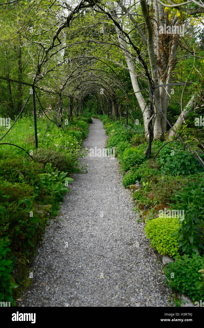 Draht-Rahmen Pergola Tunnel Frühjahr Glyzinien Rahmen neues Wachstum Altamont Gärten Carlow RM Floral Stockfoto