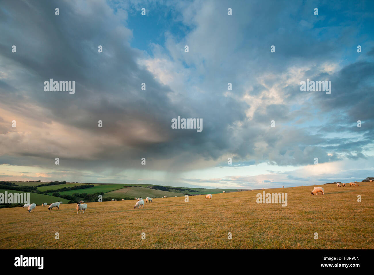 Stürmische Sonnenuntergang in South Downs National Park, East Sussex, England. Stockfoto