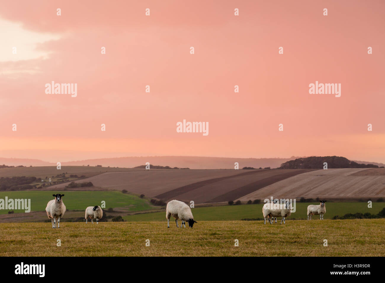 Stürmische Sonnenuntergang in South Downs National Park, East Sussex, England. Stockfoto