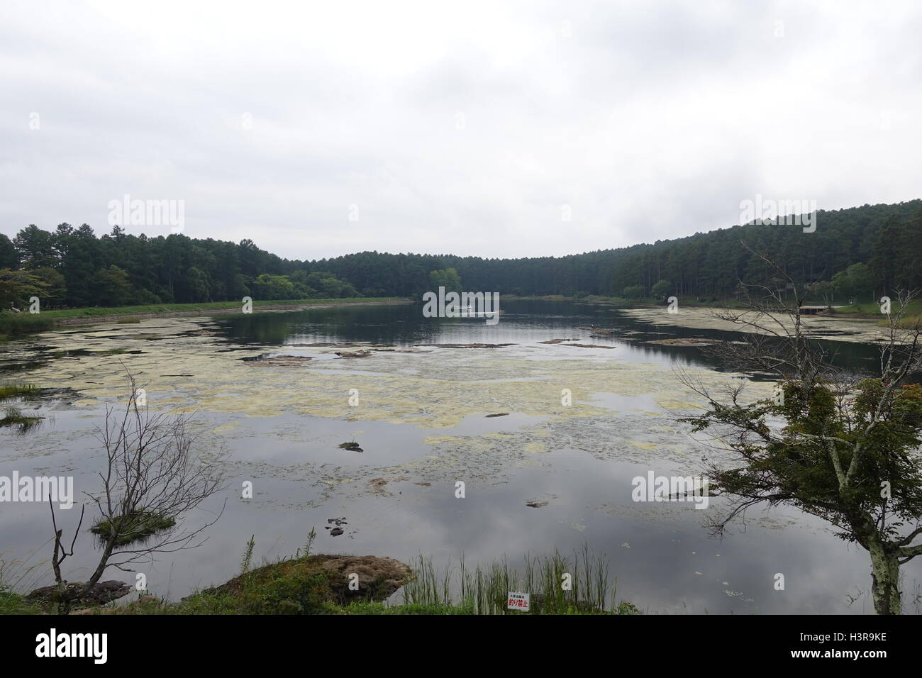 Lakeside Schuss von einem sehr stagnierenden See in den Bergen von Japan Stockfoto