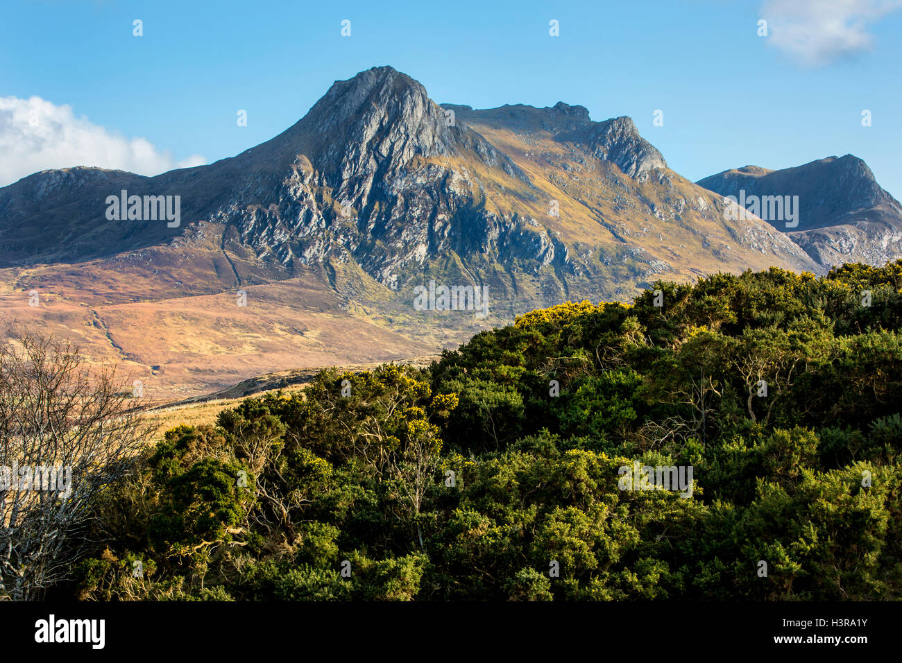 Ben Loyal, Northern Highlands von Schottland. Stockfoto